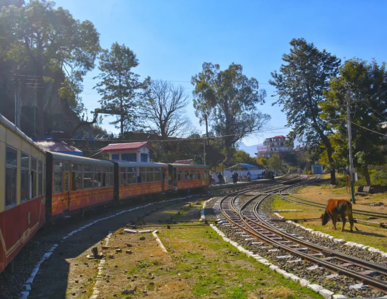 Panoramic view of Darjeeling hills with Kanchenjunga peak.